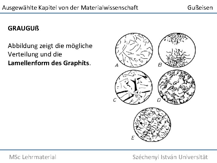 Ausgewählte Kapitel von der Materialwissenschaft Gußeisen GRAUGUß Abbildung zeigt die mögliche Verteilung und die