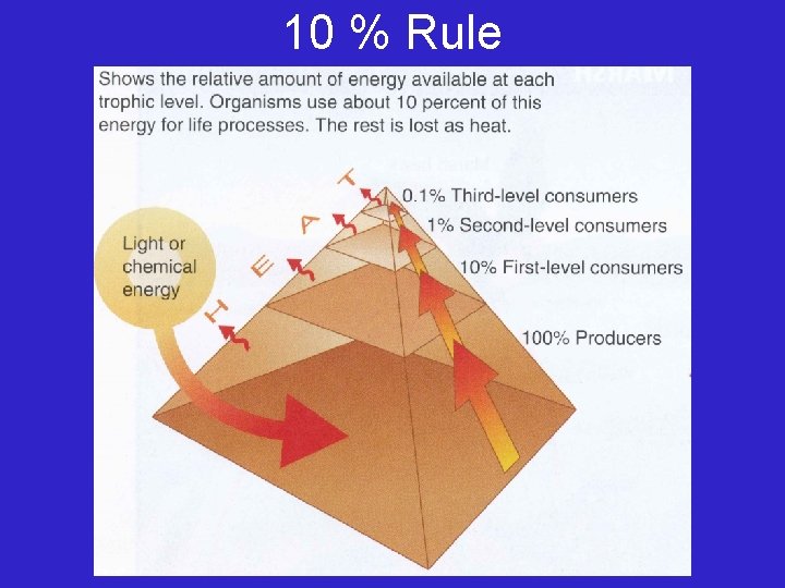 10 % Rule 