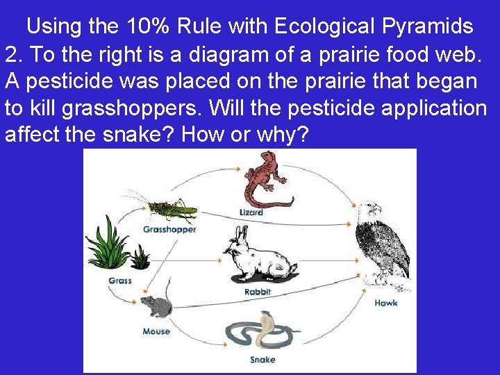 Using the 10% Rule with Ecological Pyramids 2. To the right is a diagram