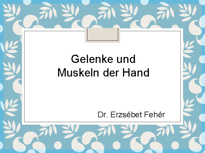 Gelenke und Muskeln der Hand Dr. Erzsébet Fehér 