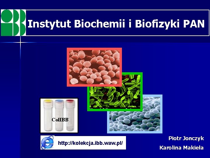 Instytut Biochemii i Biofizyki PAN Col. IBB http: //kolekcja. ibb. waw. pl/ Piotr Jonczyk