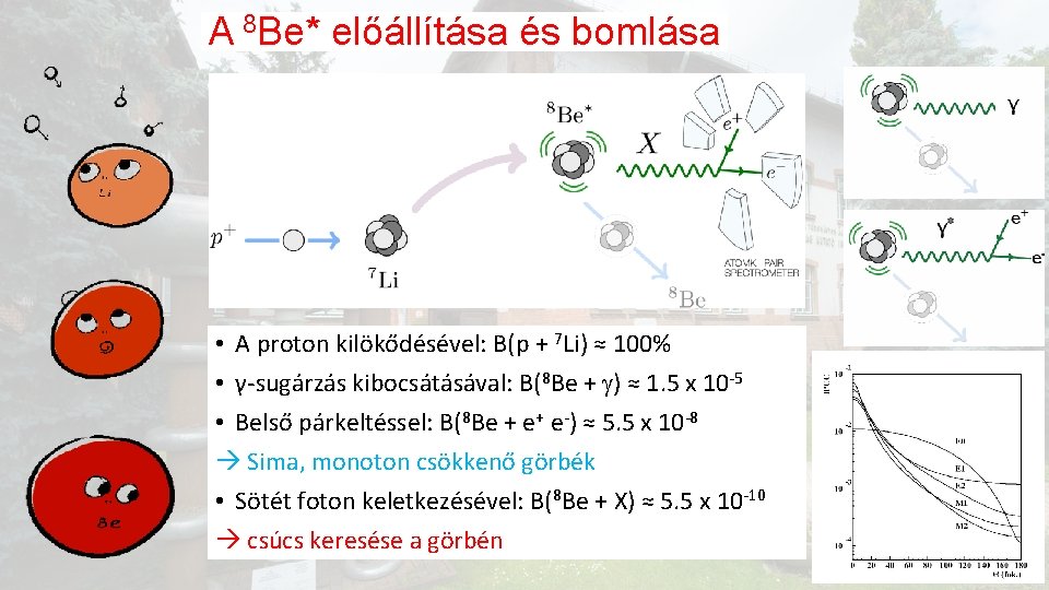 A 8 Be* előállítása és bomlása • A proton kilökődésével: B(p + 7 Li)