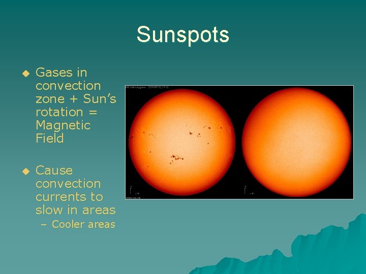 Sunspots u Gases in convection zone + Sun’s rotation = Magnetic Field u Cause
