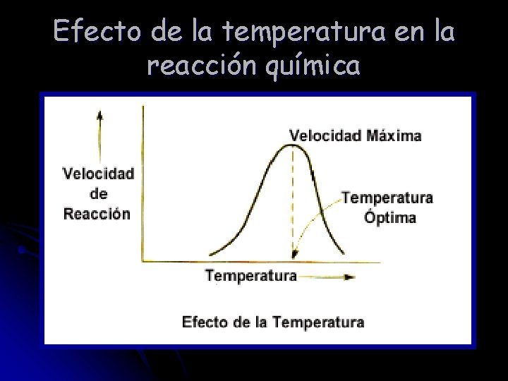 Efecto de la temperatura en la reacción química 
