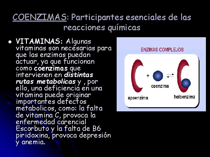 COENZIMAS: Participantes esenciales de las reacciones químicas l VITAMINAS: Algunas vitaminas son necesarias para