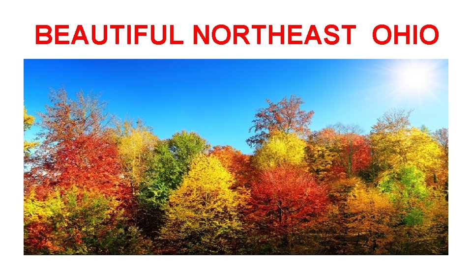 BEAUTIFUL NORTHEAST OHIO 