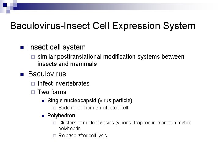 Baculovirus-Insect Cell Expression System n Insect cell system ¨ n similar posttranslational modification systems