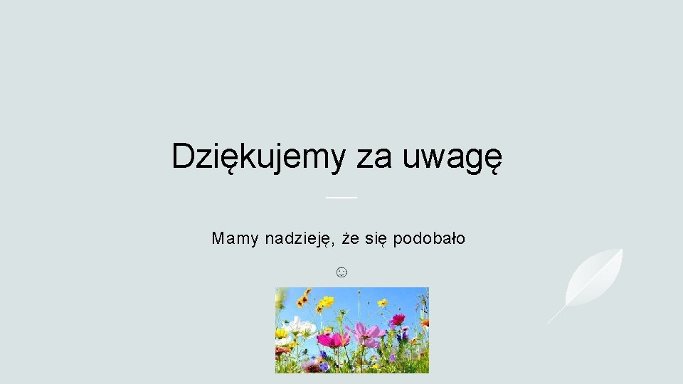 Dziękujemy za uwagę Mamy nadzieję, że się podobało ☺ 