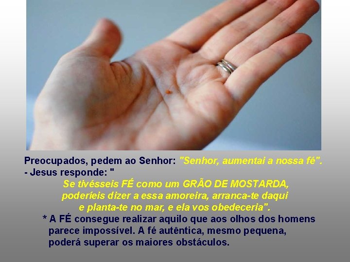 Preocupados, pedem ao Senhor: "Senhor, aumentai a nossa fé". - Jesus responde: " Se