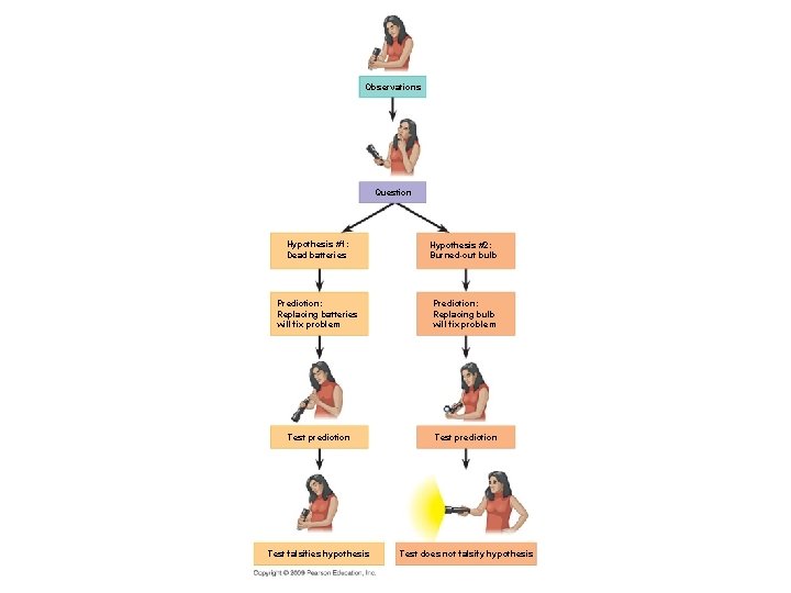 Observations Question Hypothesis #1: Dead batteries Hypothesis #2: Burned-out bulb Prediction: Replacing batteries will
