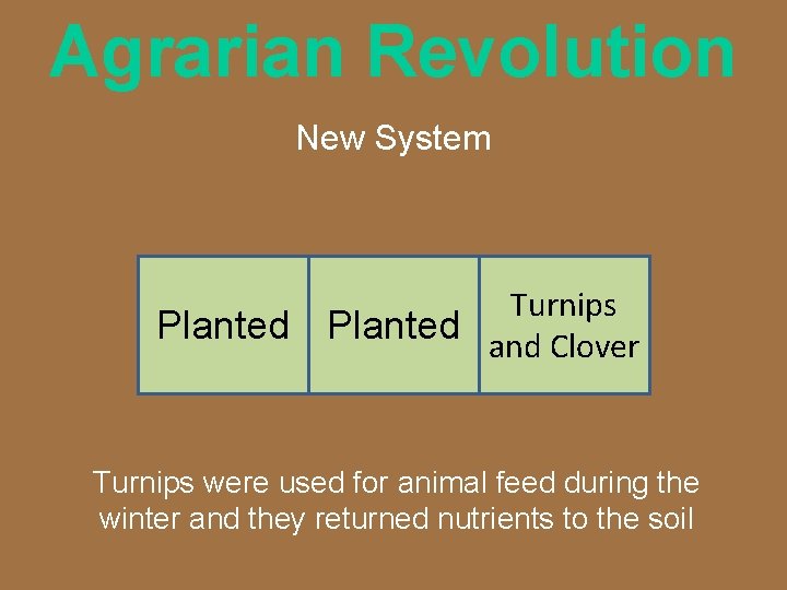 Agrarian Revolution New System Planted Turnips Planted and Clover Turnips were used for animal