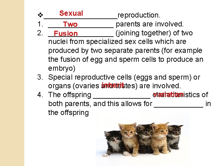 Sexual v_________reproduction. 1. ________ parents are involved. Two 2. ________ (joining together) of two