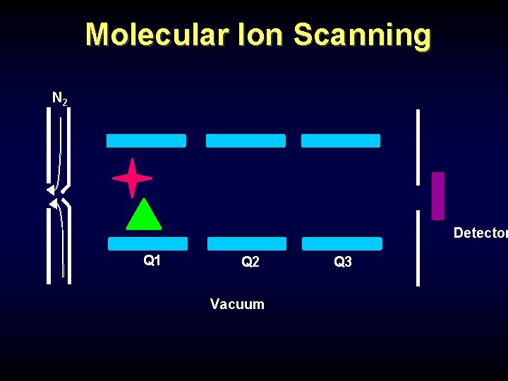 Molecular Ion Scanning N 2 Detector Q 1 Q 2 Vacuum Q 3 Molecular Ion Scanning N 2 Detector Q 1 Q 2 Vacuum Q 3