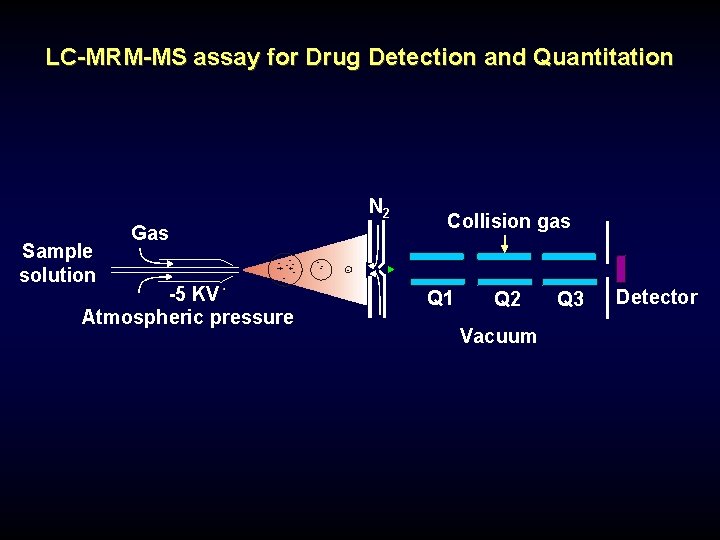 LC-MRM-MS assay for Drug Detection and Quantitation N 2 Sample solution Gas --+ -+-- LC-MRM-MS assay for Drug Detection and Quantitation N 2 Sample solution Gas --+ -+--