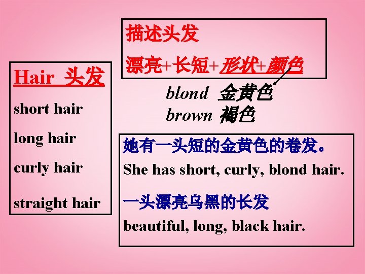 描述头发 Hair 头发 short hair long hair curly hair straight hair 漂亮+长短+形状+颜色 blond 金黄色