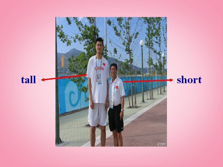 tall short 