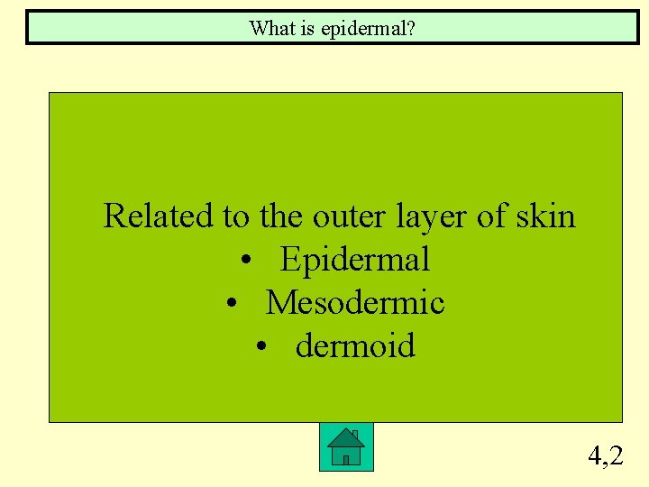 What is epidermal? Related to the outer layer of skin • Epidermal • Mesodermic