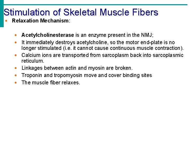 Stimulation of Skeletal Muscle Fibers Relaxation Mechanism: Acetylcholinesterase is an enzyme present in the