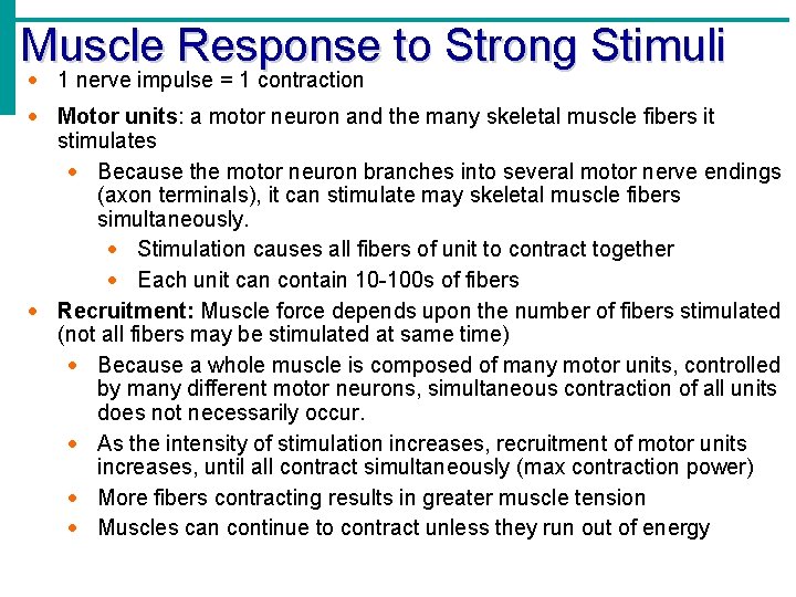 Muscle Response to Strong Stimuli 1 nerve impulse = 1 contraction Motor units: a