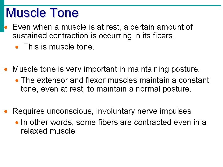 Muscle Tone Even when a muscle is at rest, a certain amount of sustained