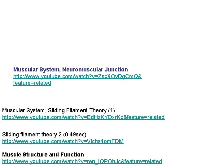 Muscular System, Neuromuscular Junction http: //www. youtube. com/watch? v=Zsc. XOv. Dg. Cm. Q& feature=related