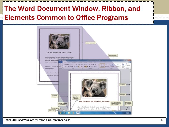 The Word Document Window, Ribbon, and Elements Common to Office Programs Office 2010 and