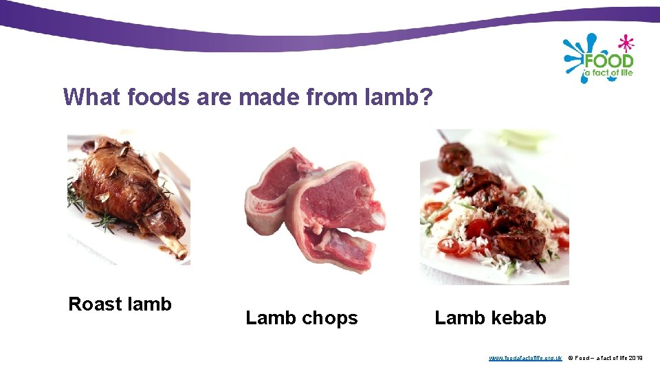 What foods are made from lamb? Roast lamb Lamb chops Lamb kebab www. foodafactoflife.