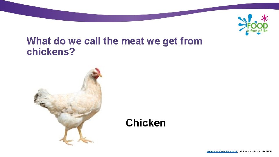 What do we call the meat we get from chickens? Chicken www. foodafactoflife. org.