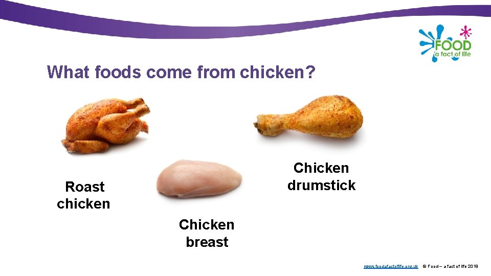 What foods come from chicken? Chicken drumstick Roast chicken Chicken breast www. foodafactoflife. org.