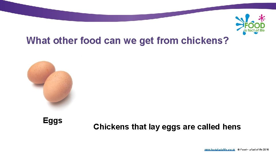 What other food can we get from chickens? Eggs Chickens that lay eggs are