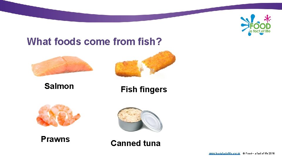 What foods come from fish? Salmon Prawns Fish fingers Canned tuna www. foodafactoflife. org.