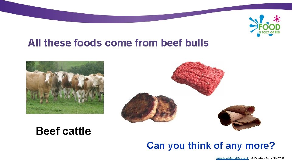 All these foods come from beef bulls Beef cattle Can you think of any