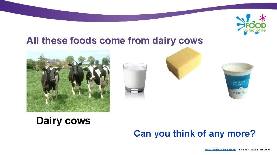 All these foods come from dairy cows Dairy cows Can you think of any