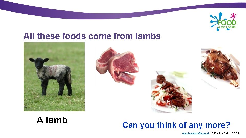 All these foods come from lambs A lamb Can you think of any more?