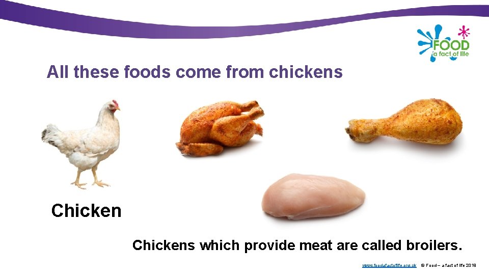 All these foods come from chickens Chickens which provide meat are called broilers. www.