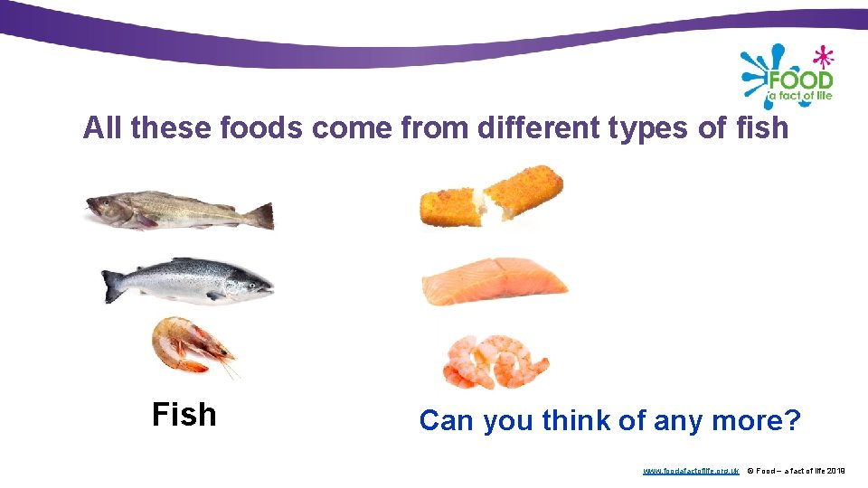 All these foods come from different types of fish Fish Can you think of
