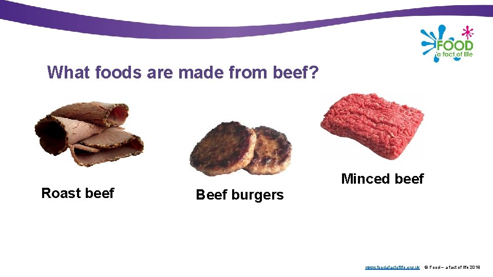 What foods are made from beef? Roast beef Minced beef Beef burgers www. foodafactoflife.