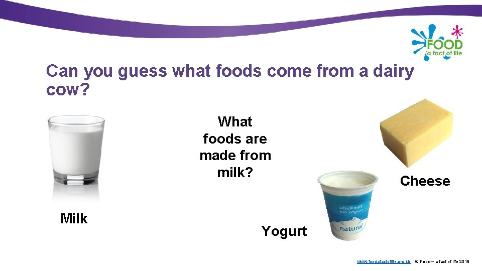 Can you guess what foods come from a dairy cow? What foods are made