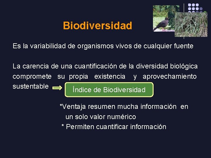 Biodiversidad Es la variabilidad de organismos vivos de cualquier fuente La carencia de una