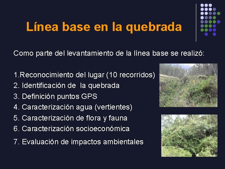 Línea base en la quebrada Como parte del levantamiento de la línea base se