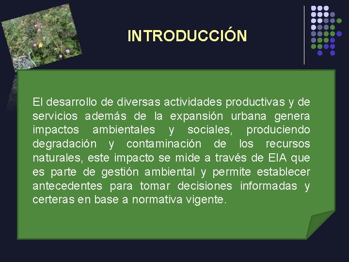 INTRODUCCIÓN El desarrollo de diversas actividades productivas y de servicios además de la expansión