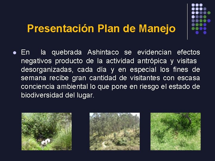 Presentación Plan de Manejo l En la quebrada Ashintaco se evidencian efectos negativos producto