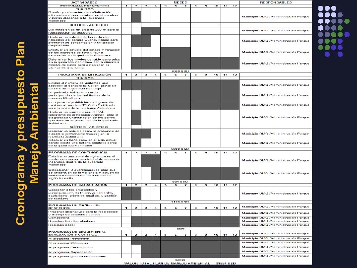 Cronograma y presupuesto Plan Manejo Ambiental 