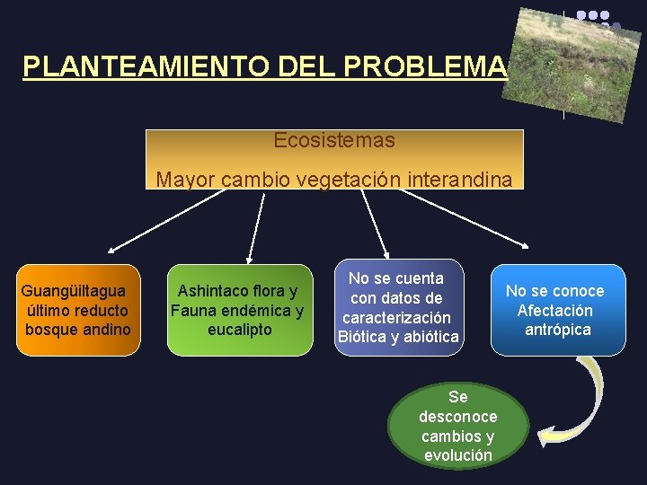 PLANTEAMIENTO DEL PROBLEMA Ecosistemas Mayor cambio vegetación interandina Guangüiltagua último reducto bosque andino Ashintaco
