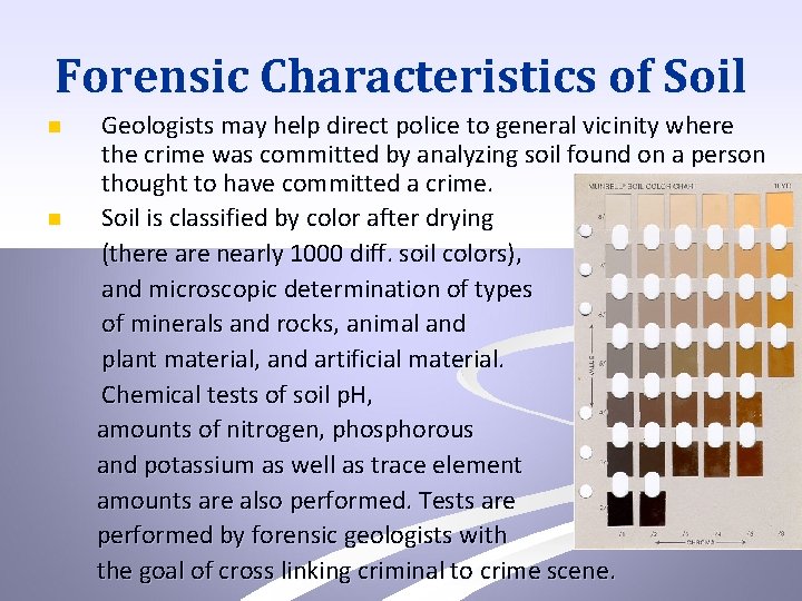 Forensic Characteristics of Soil n n Geologists may help direct police to general vicinity