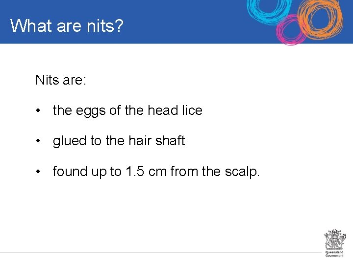 What are nits? Nits are: • the eggs of the head lice • glued