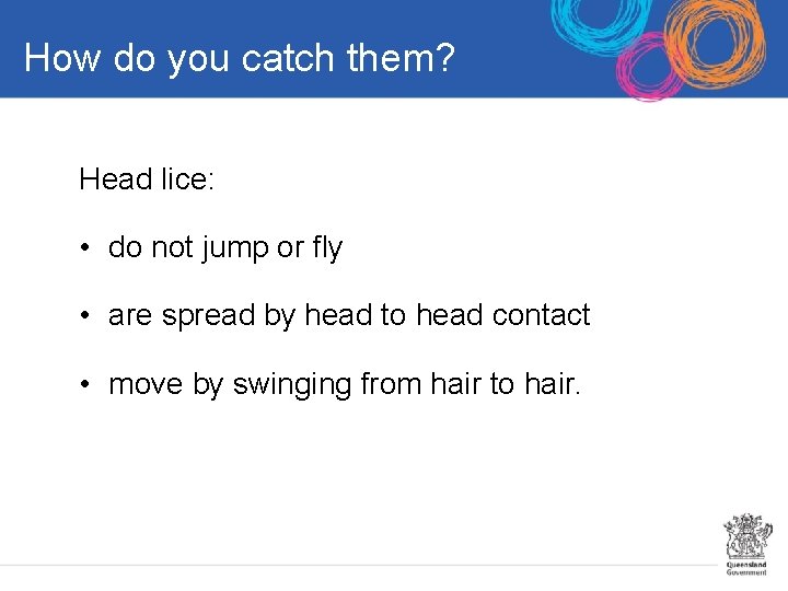 How do you catch them? Head lice: • do not jump or fly •