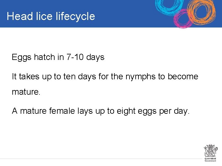 Head lice lifecycle Eggs hatch in 7 -10 days It takes up to ten