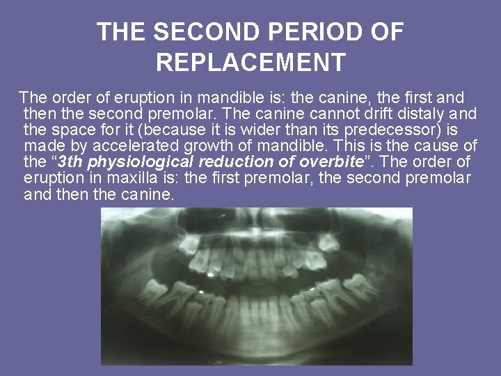 THE SECOND PERIOD OF REPLACEMENT The order of eruption in mandible is: the canine, THE SECOND PERIOD OF REPLACEMENT The order of eruption in mandible is: the canine,