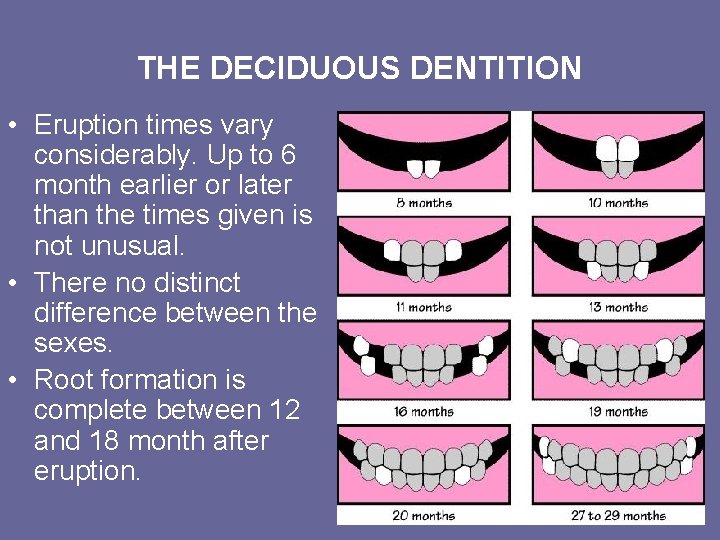 THE DECIDUOUS DENTITION • Eruption times vary considerably. Up to 6 month earlier or THE DECIDUOUS DENTITION • Eruption times vary considerably. Up to 6 month earlier or